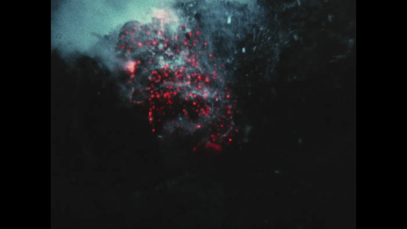 Fire of Love