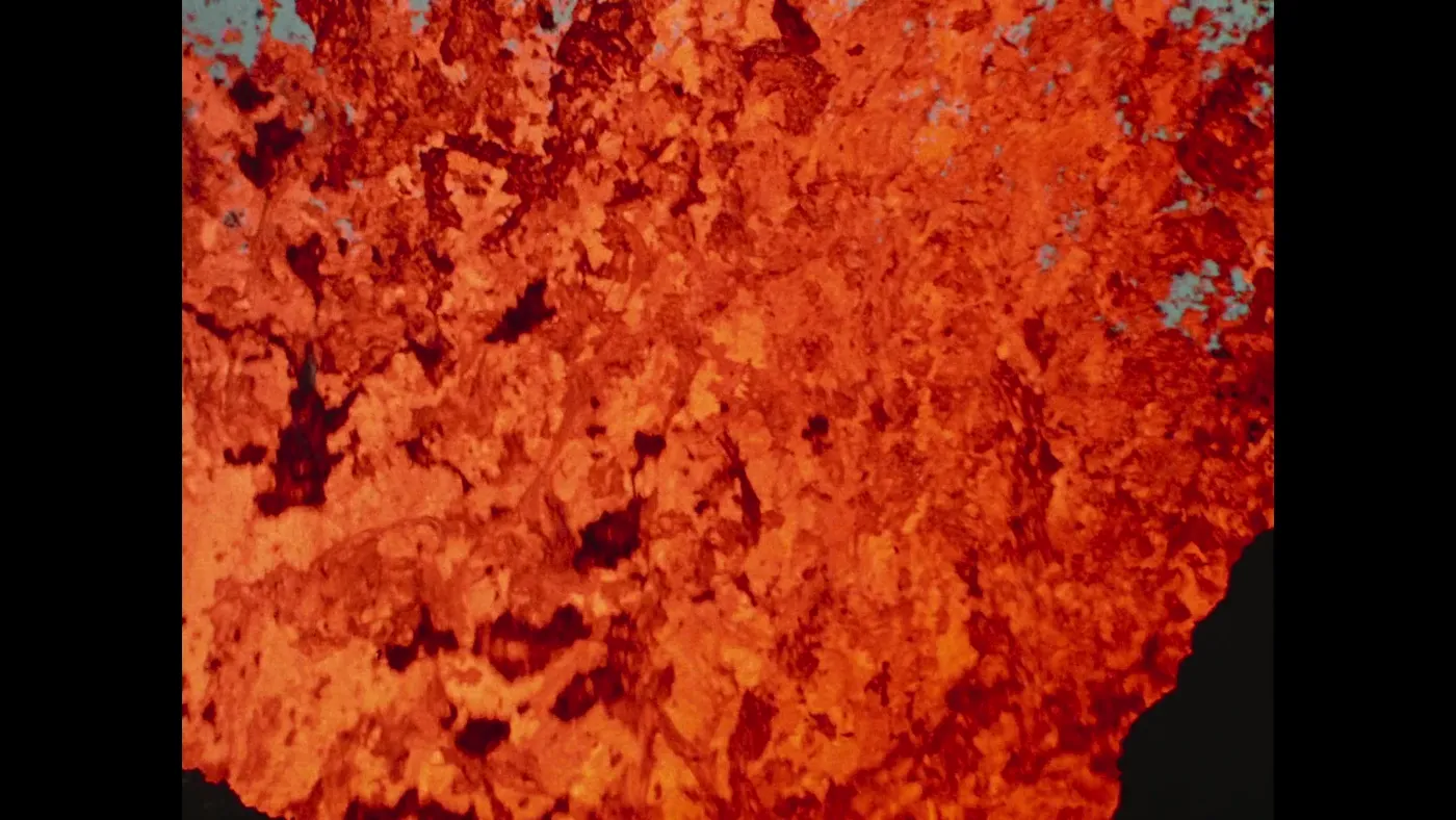 Fire of Love