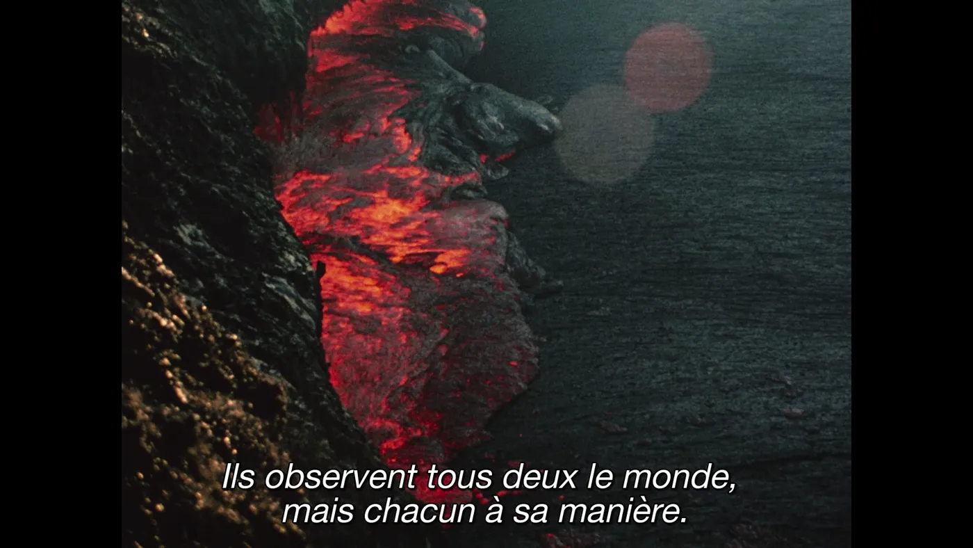 Fire of Love