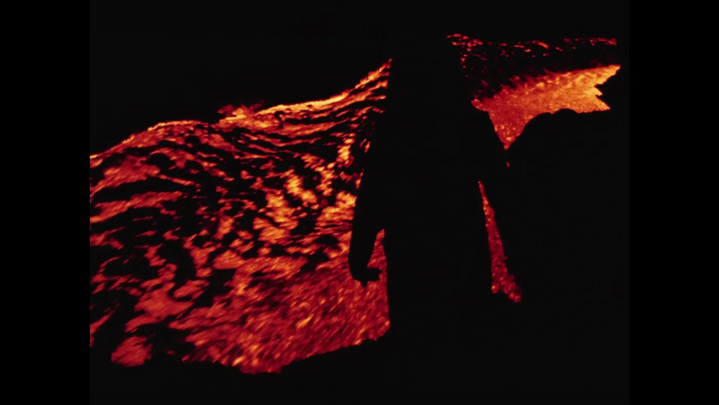 Fire of Love