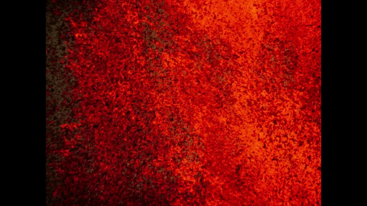 Fire of Love