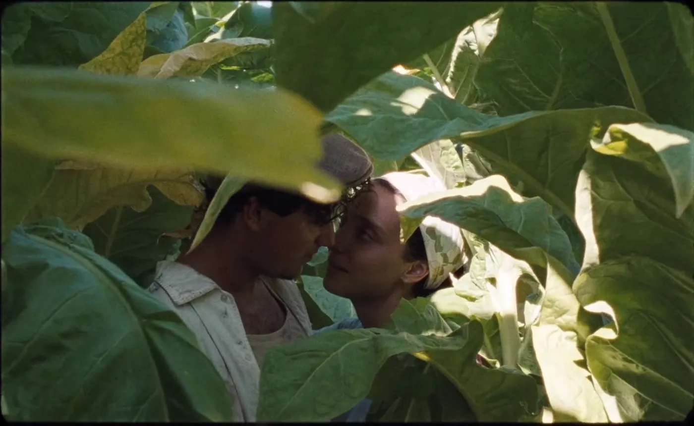 Happy as Lazzaro