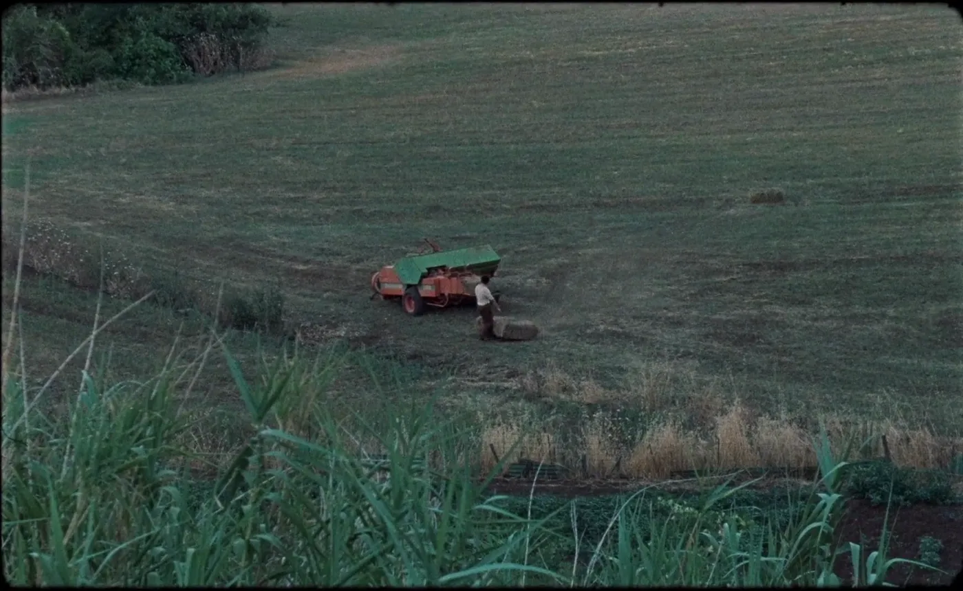 Happy as Lazzaro