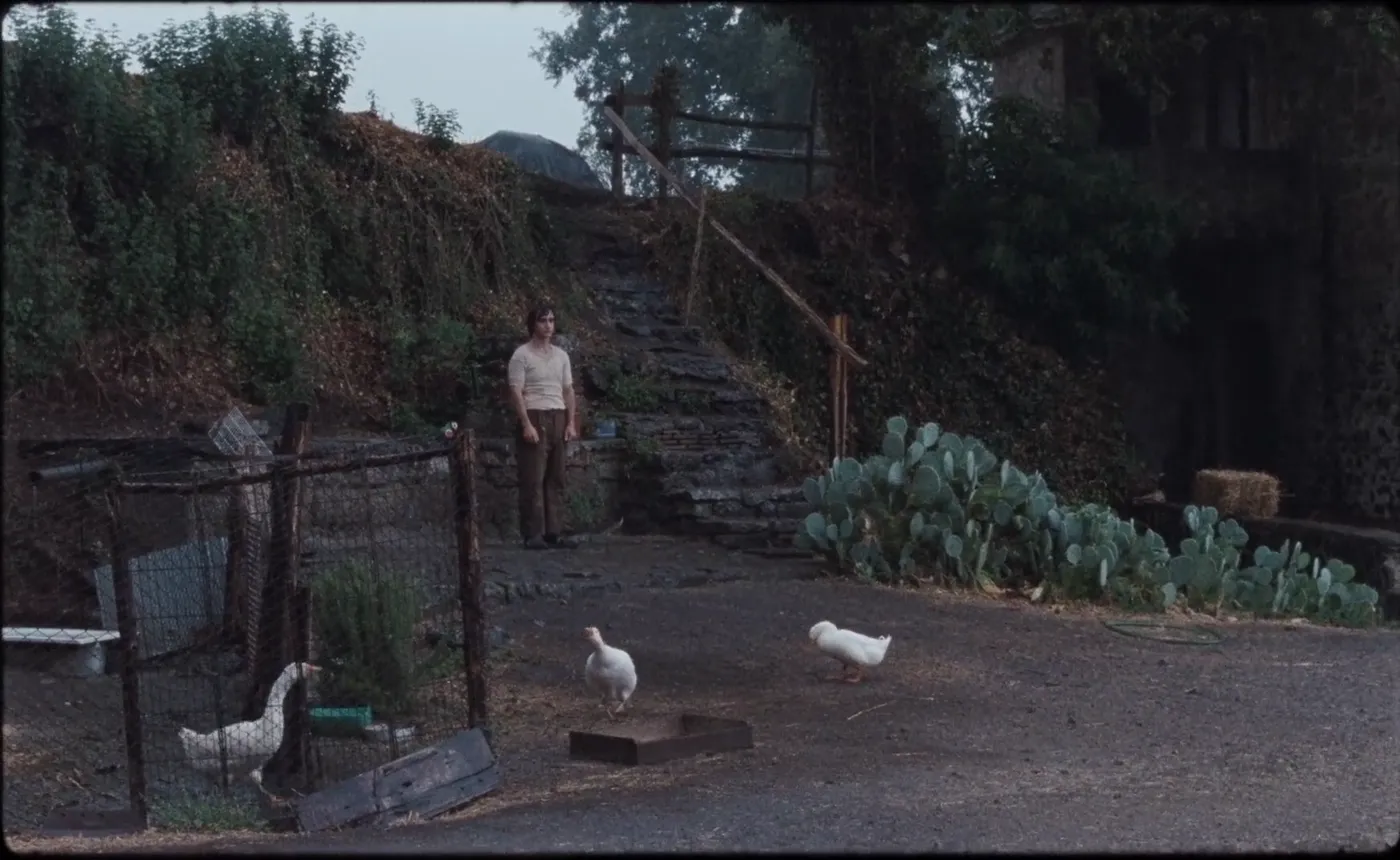 Happy as Lazzaro