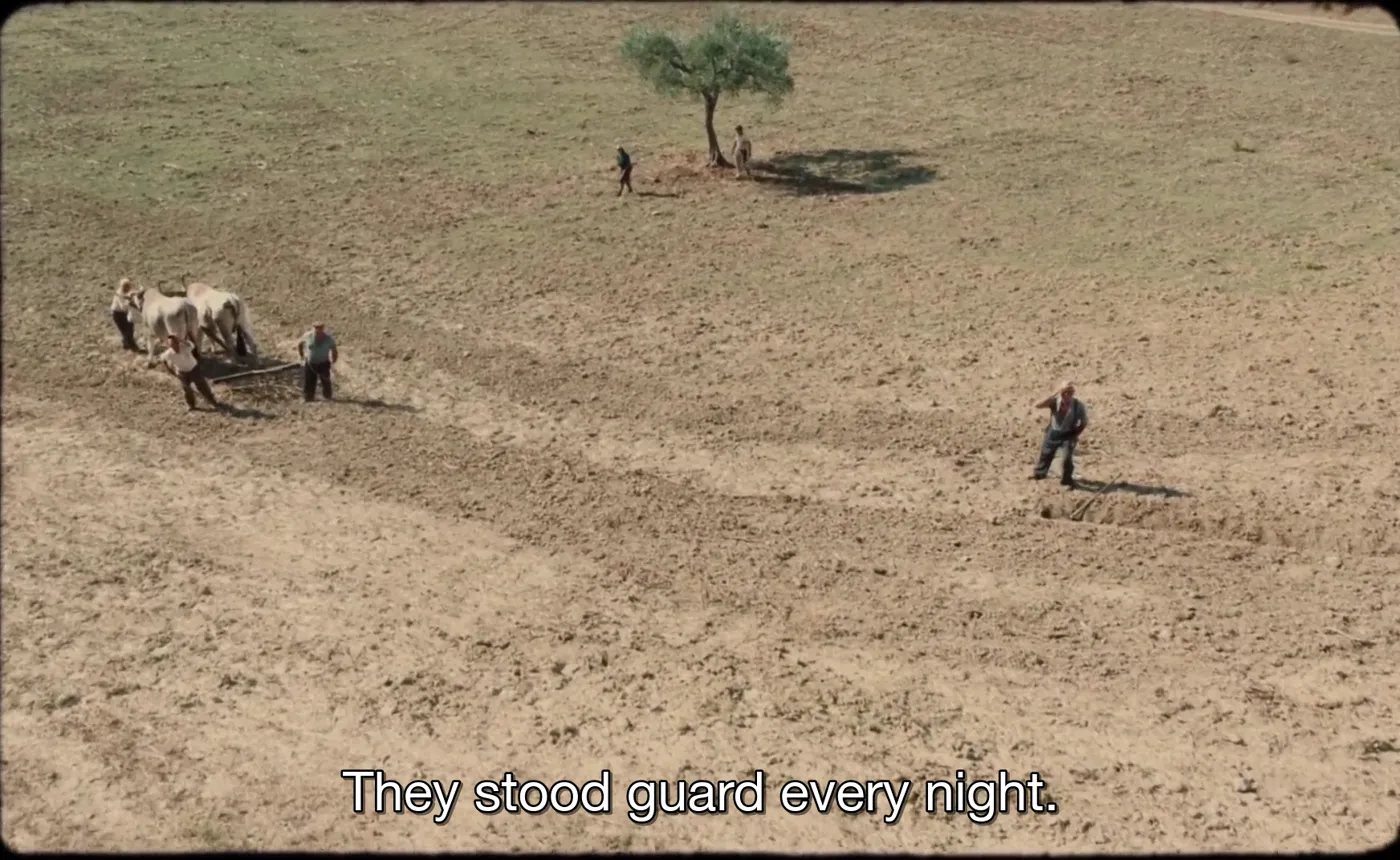 Happy as Lazzaro