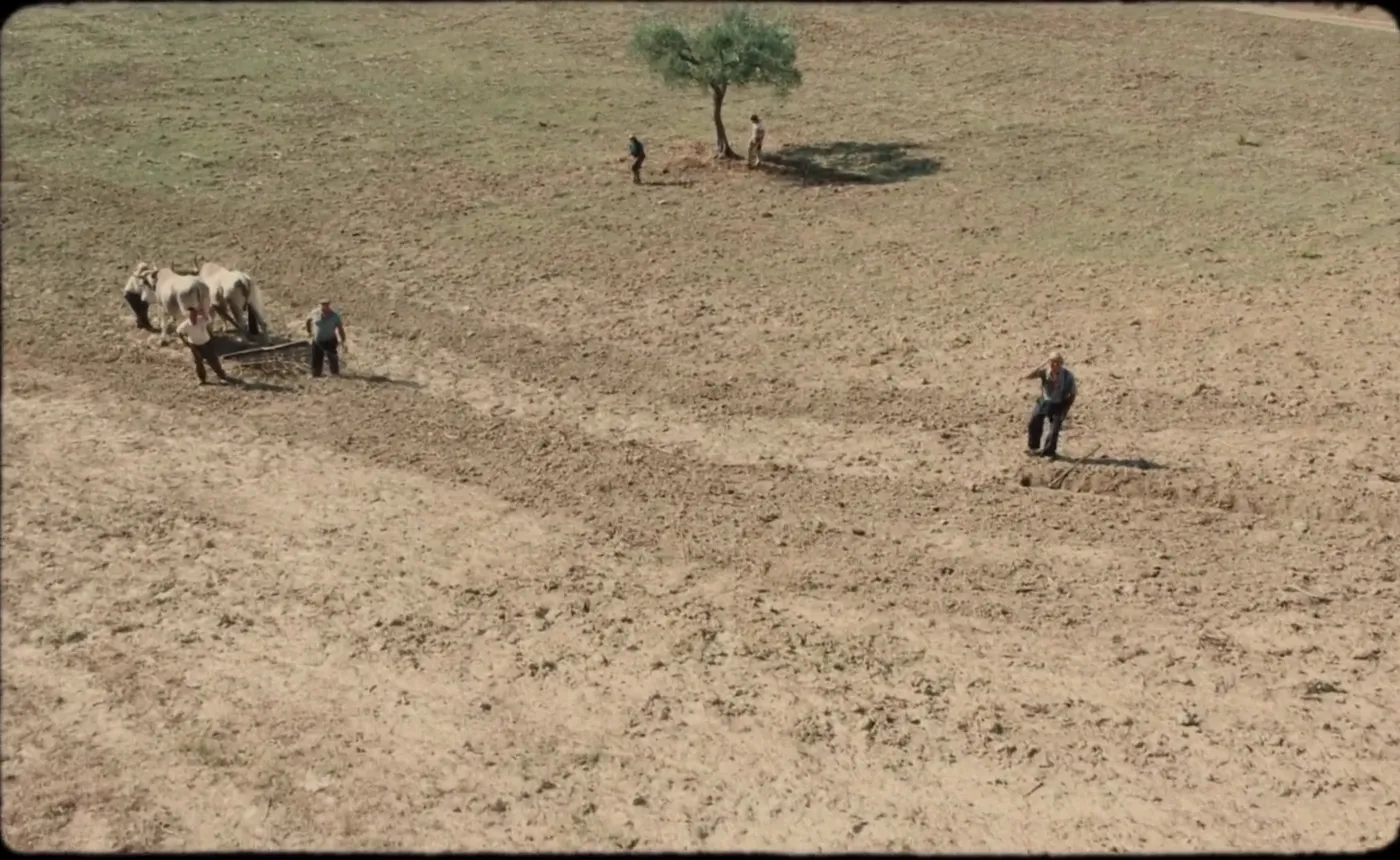 Happy as Lazzaro