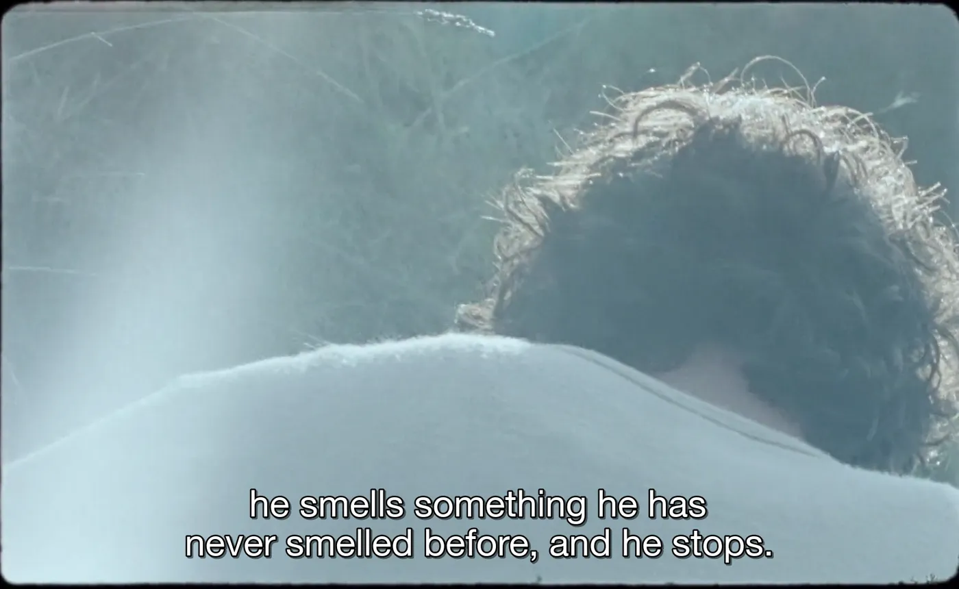 Happy as Lazzaro