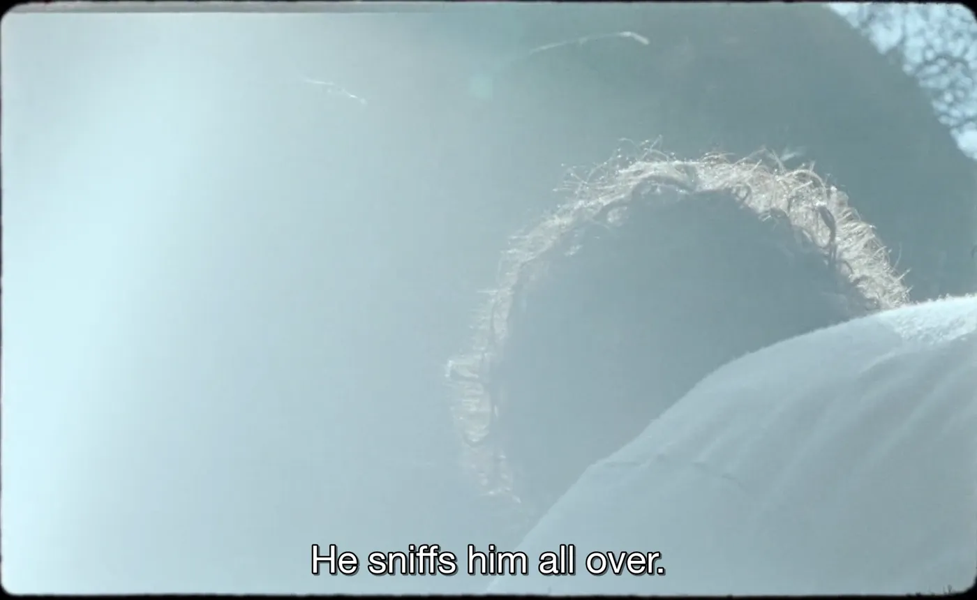 Happy as Lazzaro