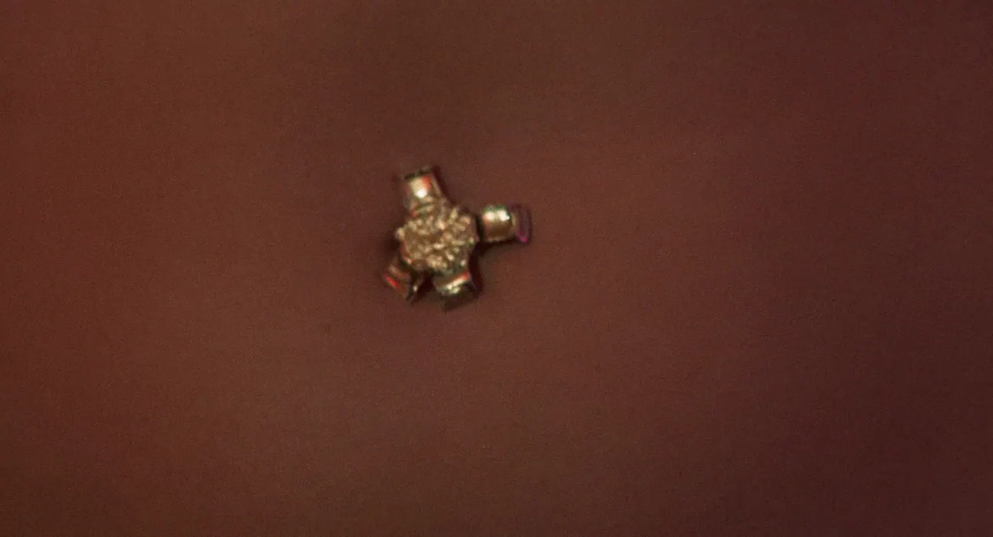 L'Homme au pistolet d'or