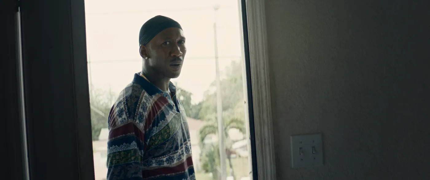 Moonlight (2016), Barry Jenkins — plan rapproché, jour, intérieur, un personnage, contre-jour : porte, palmier, poteau électrique, interrupteur, durag, polo