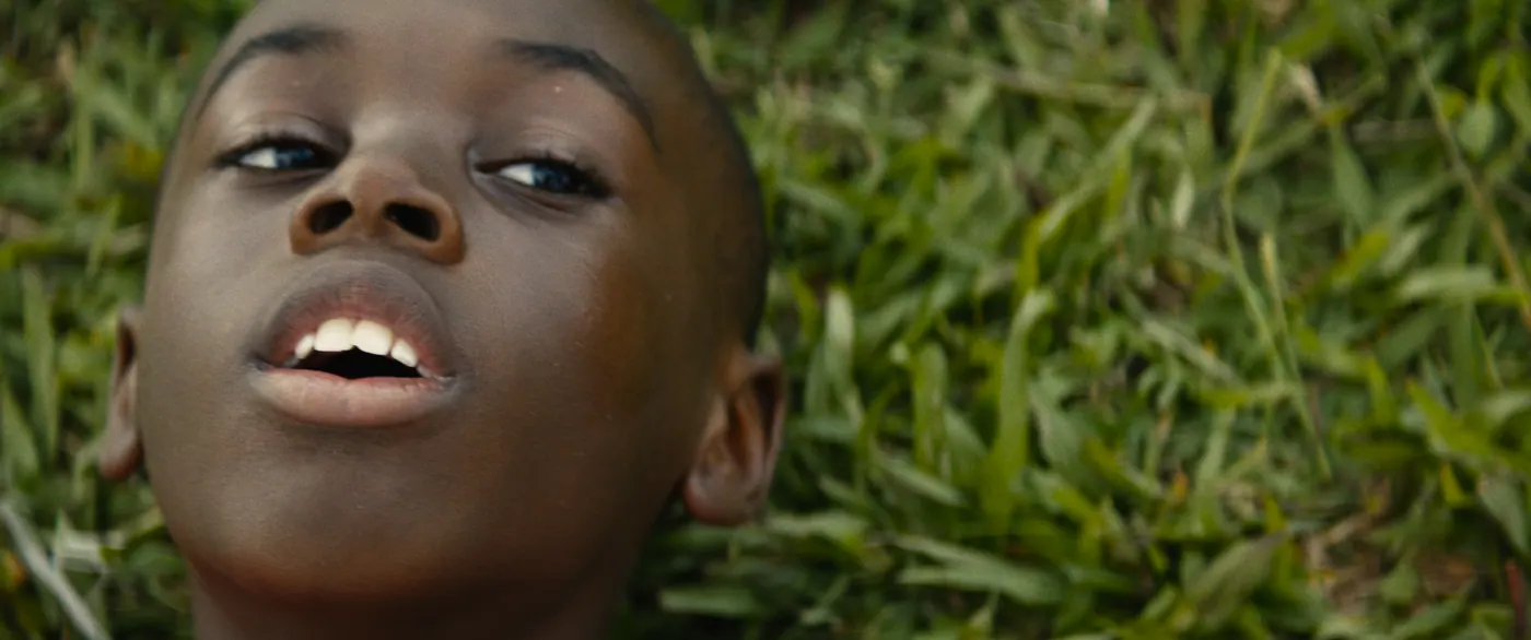 Moonlight (2016), Barry Jenkins — gros plan, jour, extérieur, un personnage : herbe