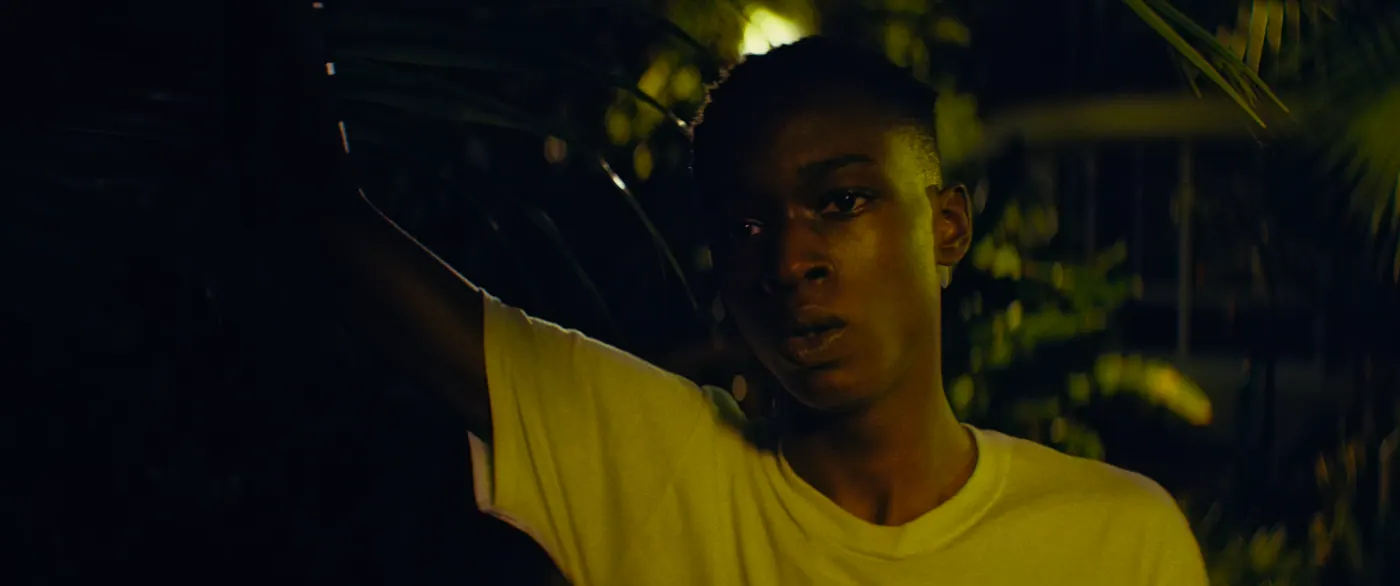 Moonlight (2016), Barry Jenkins — plan rapproché, nuit, extérieur, un personnage, lumière chaude, clair-obscur : palmier, tee-shirt
