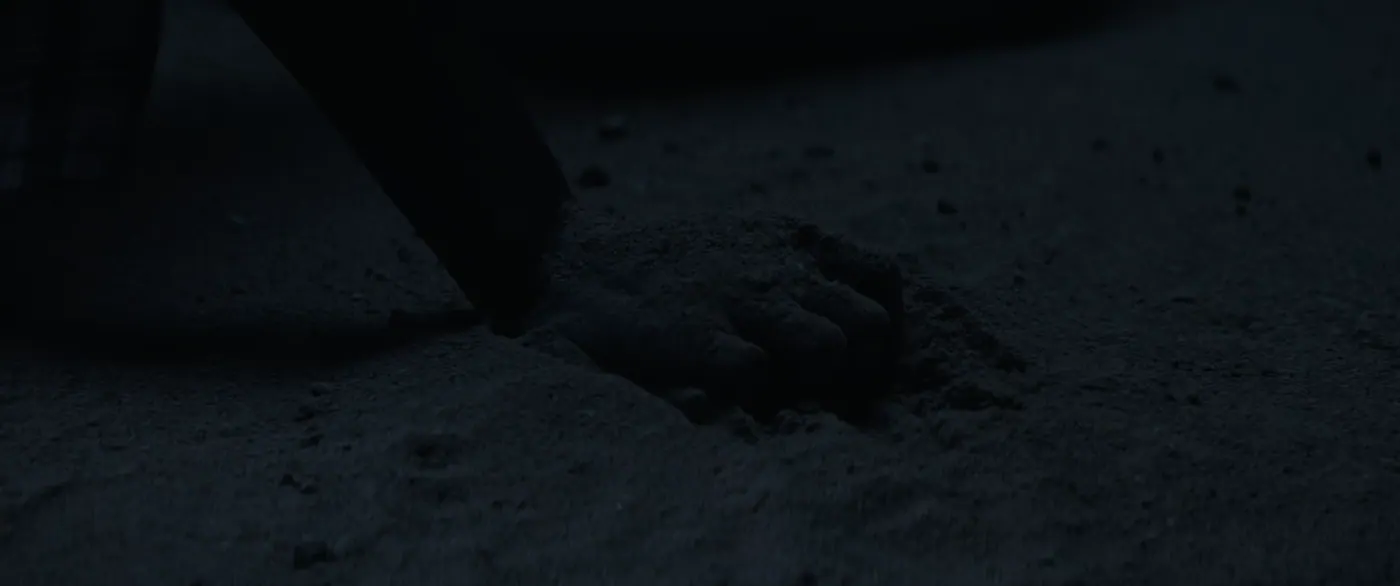 Moonlight (2016), Barry Jenkins — très gros plan, nuit, extérieur, un personnage, lumière froide : plage, sable