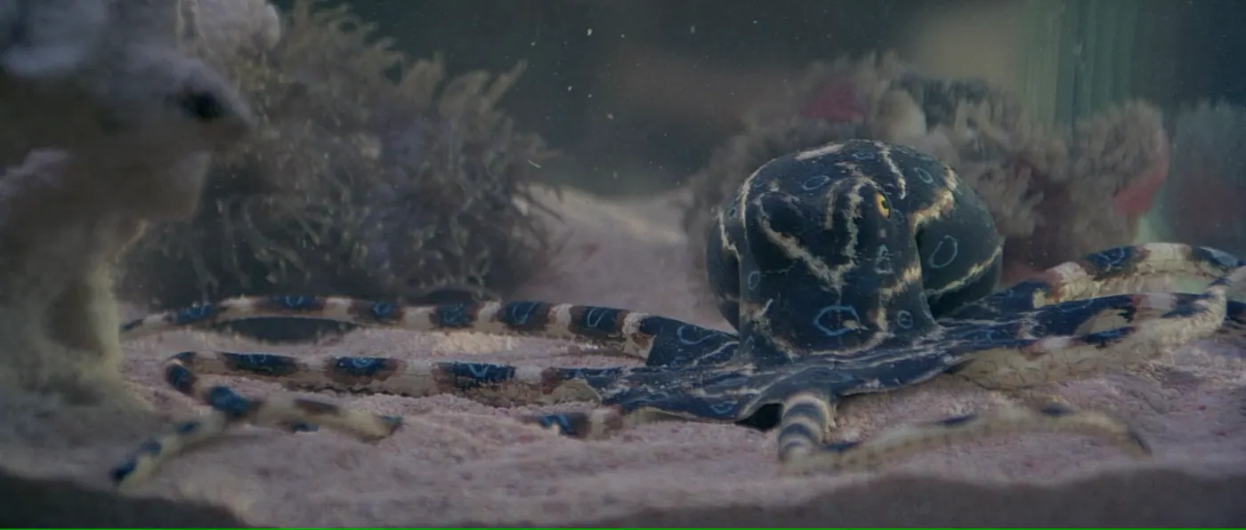Octopussy