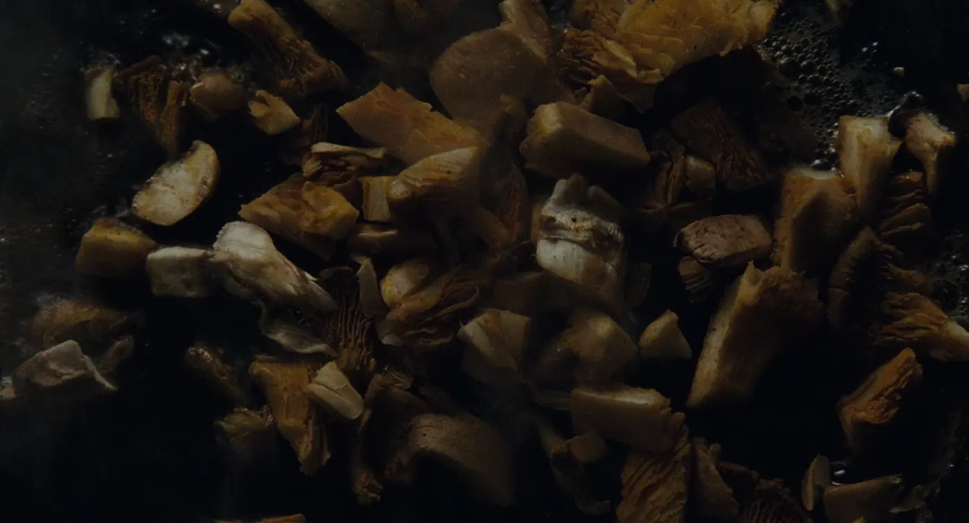 Phantom Thread (2017), Paul Thomas Anderson — insert, sans personnage, clair-obscur : champignon, poêle