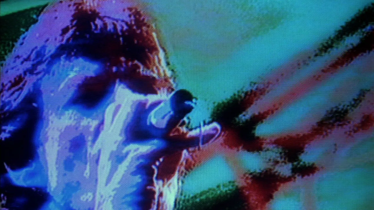 The Rolling Stones - Live at the Max