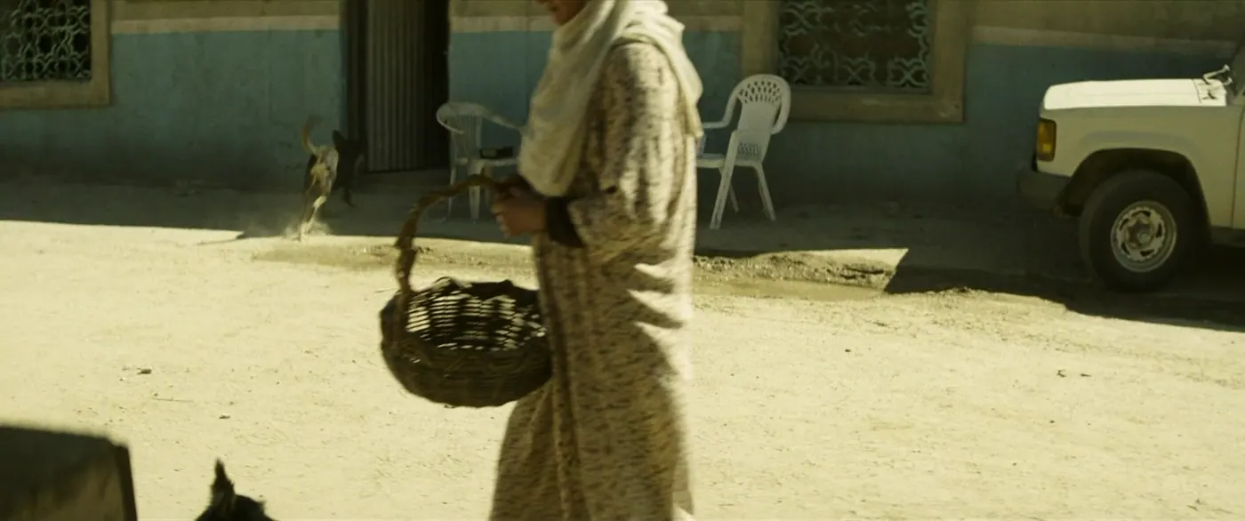 Vice (2018), Adam McKay — plan moyen, jour, extérieur, un personnage, soleil direct : rue, voile blanc, panier en osier, chaise en plastique, chien, pick-up, fenêtre, robe longue, marcher
