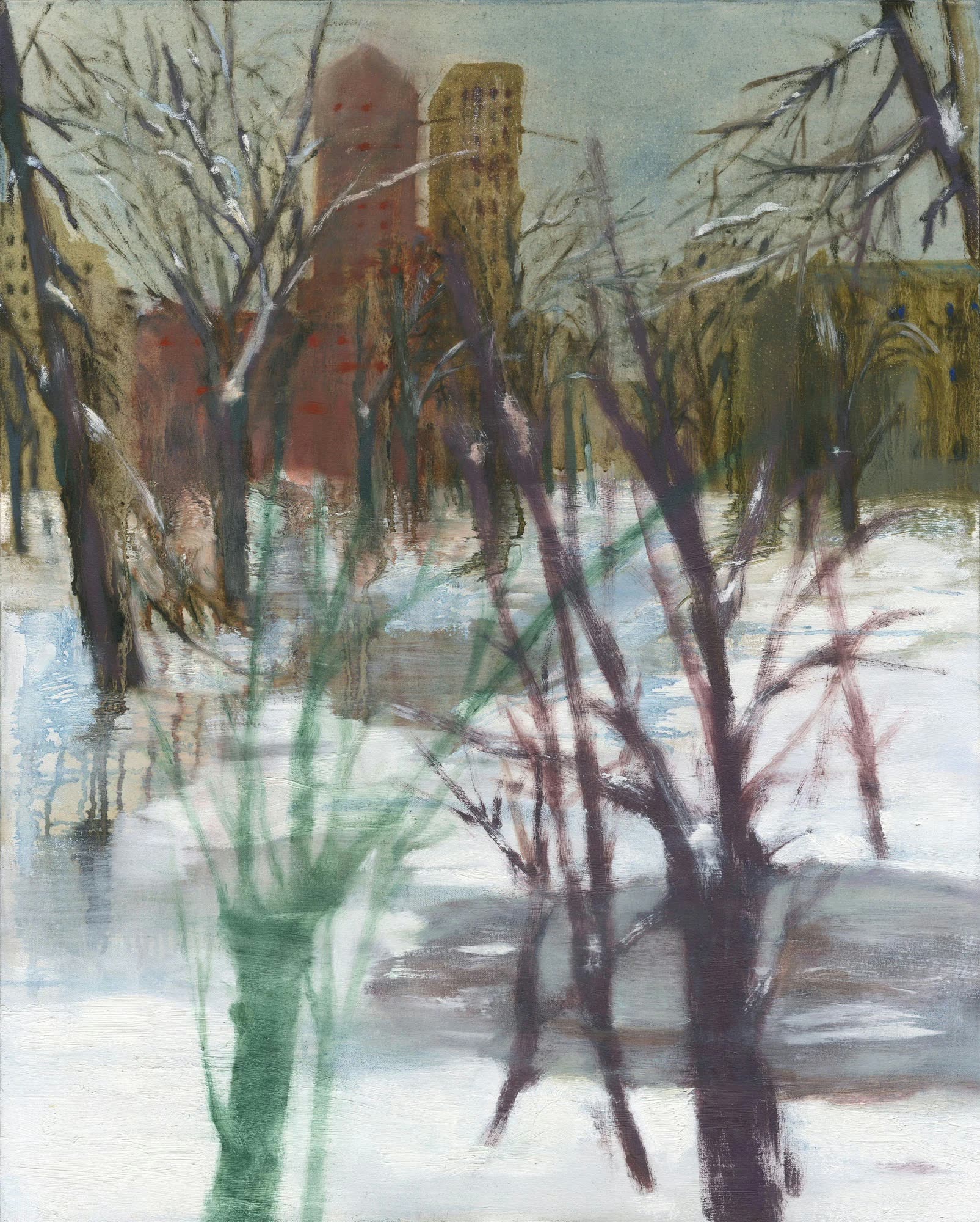Long Snow in Central Park, Lizi Budagashvili